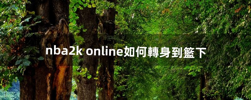 nba2k online如何轉身到籃下（nba2konline怎么背轉身)